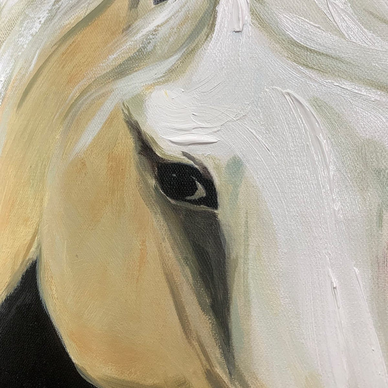 Abstract Horse Animal Wall Art #DL030